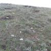 Soil at Aýal Ölän South