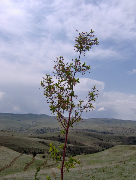 HPIM1204.JPG