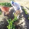 20170614_182803