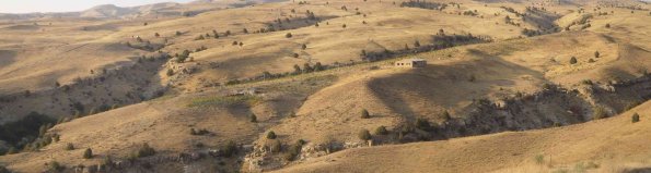 Orchard-Panorama