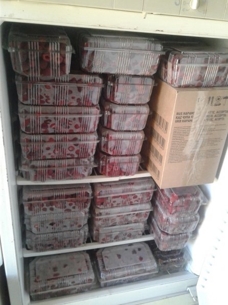 Raspberry-Packed-Chilled