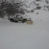 Van Got Stacked on Broock Bottom in Goarge