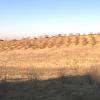 Панорама Вид Снизу на А12 и С1