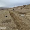 IMG_20201117_105025_800x599