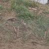 IMG_20210315_181705_800x599