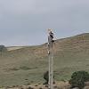 IMG_20210506_095010