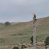 IMG_20210506_095014