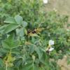 IMG_20210506_140153