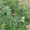 IMG_20210506_140158