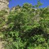 IMG_20210518_080856