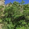 IMG_20210518_080858