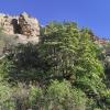 IMG_20210518_080921