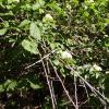 IMG_20210518_081110