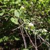 IMG_20210518_081116