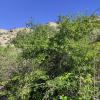 IMG_20210518_081924
