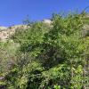 IMG_20210518_081926