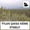 Ýylan Çaksa