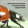 Media faýllary - Медиа-файлы