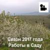 Orchard Season Album 2017