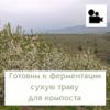 Переворачиваем сухую траву для компоста