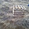 2011 10 26 - Replanting Juniper - Cage Made to Protect Stock from Livestock