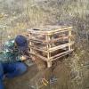 2011 10 26 - Replanting Juniper 5