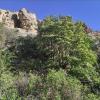 IMG_20210518_080923