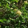 IMG_20210518_081144