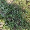 IMG_20210519_183654
