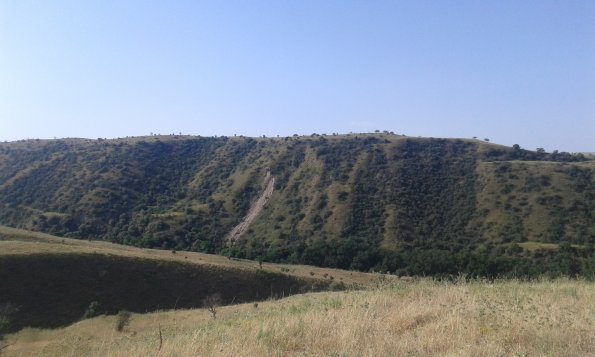 Zäkli